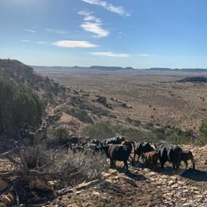 Meet your Posher, Kirk